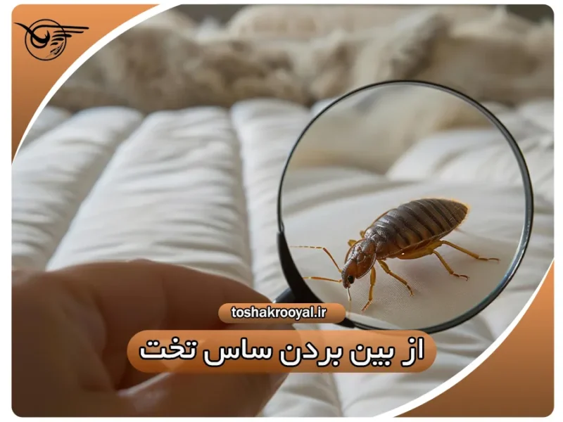 از بین بردن ساس تخت | تشک رویال
