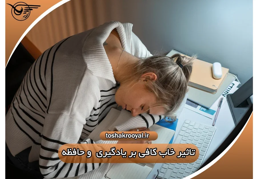 تأثیر خواب کافی بر یادگیری و حافظه