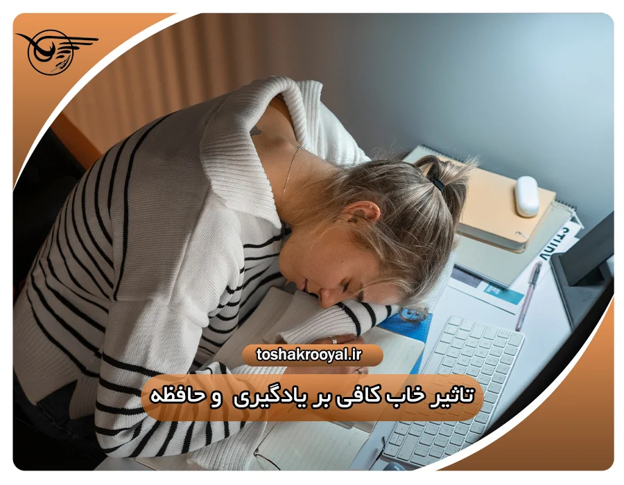 تأثیر خواب کافی بر یادگیری و حافظه