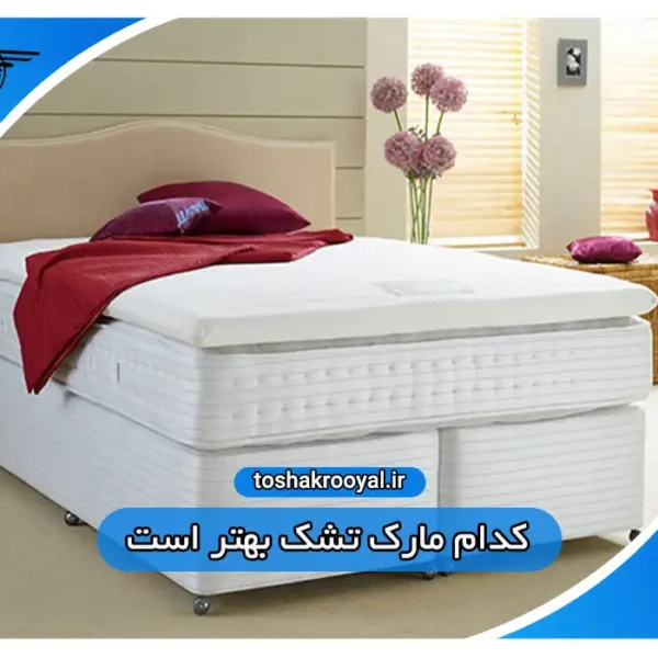 کدام مارک تشک بهتر است